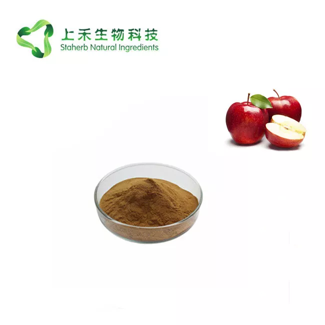 apple extract apple polypenols