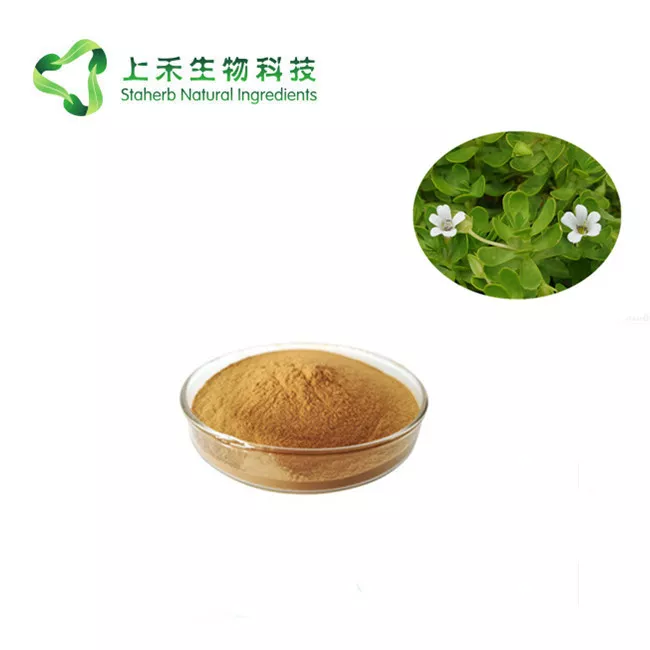 bacopa monnieri brahmi extract 50% bacoside