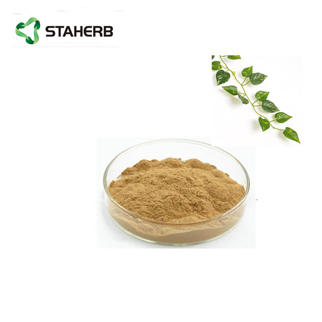 ivy extract1.jpg