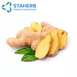 Ginger Extract Gingerol