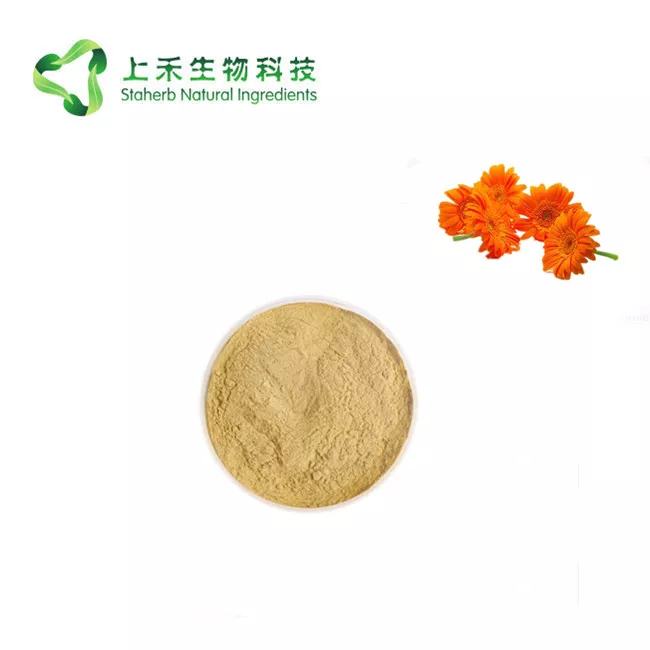 Barberton daisy extract powder