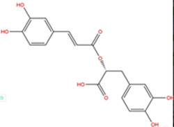 Rosemary Leaf Extract Of Ursolic Acid,Rosmarinic Acid,Carnosic Acid Powder