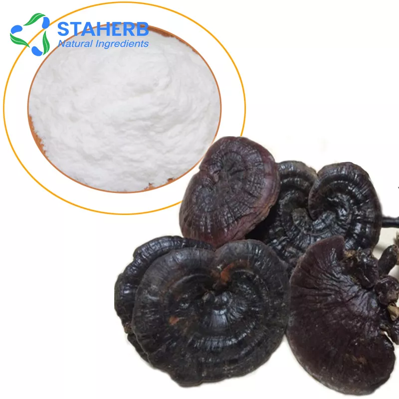 Reishi Extract