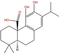 Rosemary Leaf Extract Of Ursolic Acid,Rosmarinic Acid,Carnosic Acid Powder